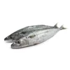 Horse Mackrel Pack 20kg