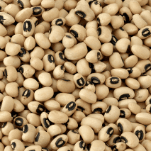 Black Eye Beans 25KG