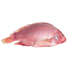 Tilapia Red 500-700 4kg