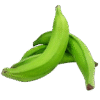 Plantain Green