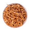 Moyen Shrimp 80G