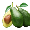 Avocat