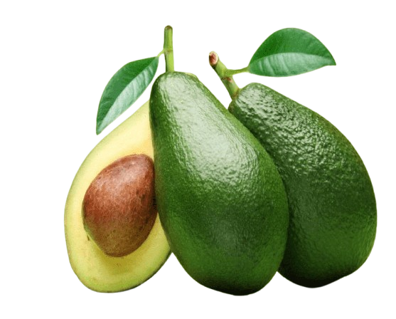 Avocat
