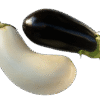 Aubergine