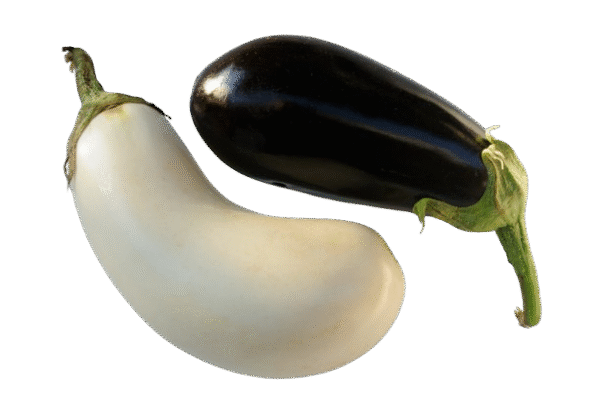 Aubergine