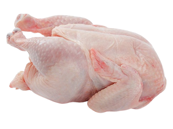 Chicken Fresh
