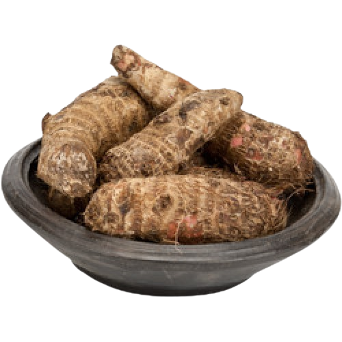 Coco Yam