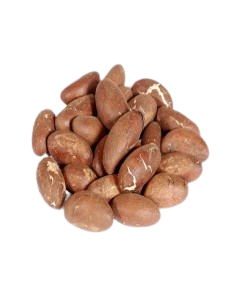 Noix De Cola