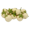 Garden Eggs
