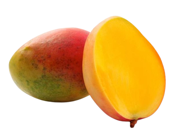 Mangue
