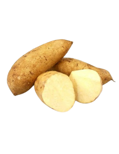 Patate Douce White