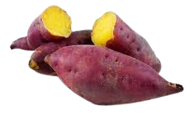Patate Douce Red
