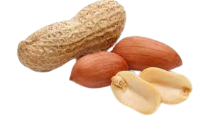 Peanut Fresh