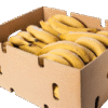 Plantain Yellow