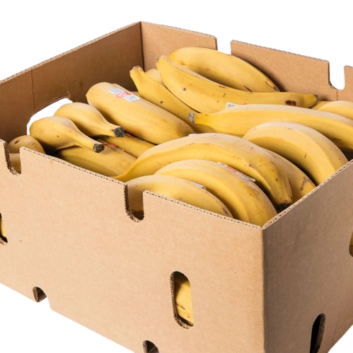 Plantain Yellow