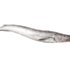 Meluza Hake 500-1000  15 KG